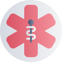 médico icon