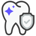 Shield icon
