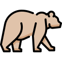 animal icon