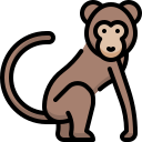 animal icon