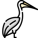 animal icon