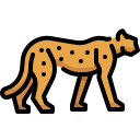 animal icon