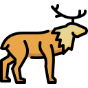 animal icon