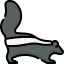 animal icon