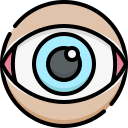 ojo icon