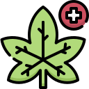 médico icon