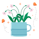blume 