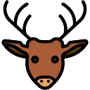 animal icon