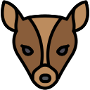 animal icon