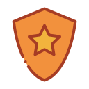 Shield icon