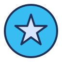 Favorite icon