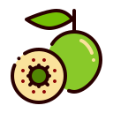 Fruit 
