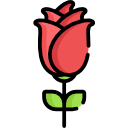 rosa icon