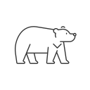 animal icon