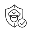 seguridad icon