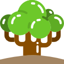 Árbol