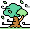 naturaleza icon