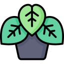 naturaleza icon