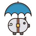 Money icon