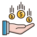 Money icon