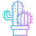 cactus icon