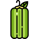 pimienta icon