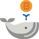 bitcoin icon