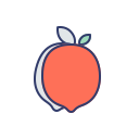 fruta icon