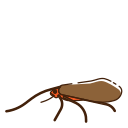 tricópteros icon