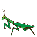 mantodea icon