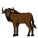 animal icon