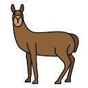 animal icon