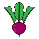 fruta icon