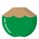 Fruit icon
