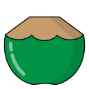 fruta icon