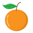 fruit 
