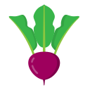 Fruit icon