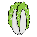 fruta icon