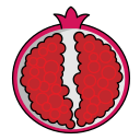 fruta icon