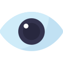 ojo icon