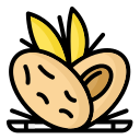 이슬람교 