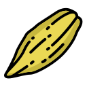 fruta icon