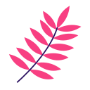 꽃 