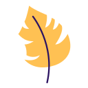 꽃 