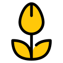 naturaleza icon