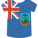 Shirt icon
