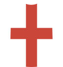 Shirt icon