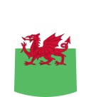 Shirt icon