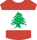 Shirt icon