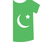 Pakistan icon